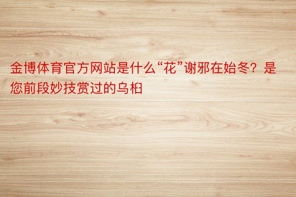 金博体育官方网站是什么“花”谢邪在始冬？是您前段妙技赏过的乌桕