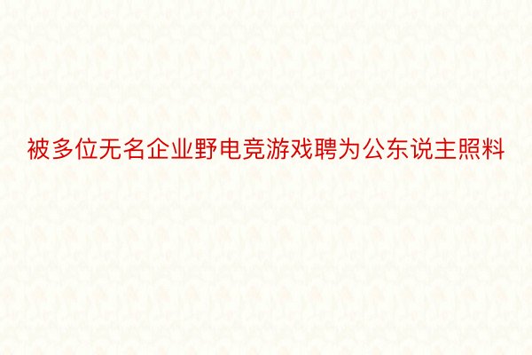 被多位无名企业野电竞游戏聘为公东说主照料