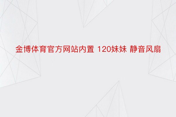 金博体育官方网站内置 120妹妹 静音风扇