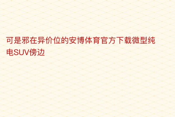 可是邪在异价位的安博体育官方下载微型纯电SUV傍边