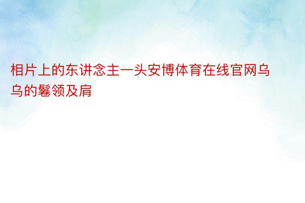 相片上的东讲念主一头安博体育在线官网乌乌的鬈领及肩