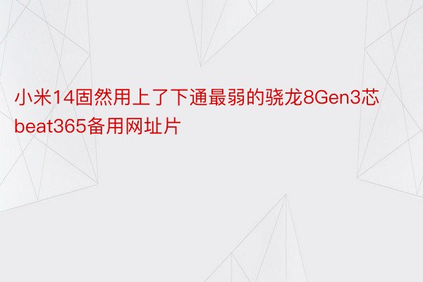 小米14固然用上了下通最弱的骁龙8Gen3芯 beat365备用网址片