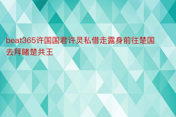 beat365许国国君许灵私借走露身前往楚国去拜睹楚共王