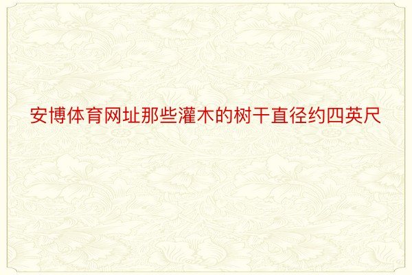 安博体育网址那些灌木的树干直径约四英尺