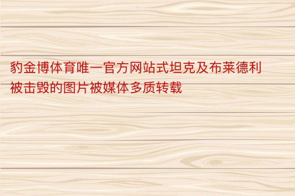 豹金博体育唯一官方网站式坦克及布莱德利被击毁的图片被媒体多质转载