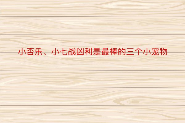 小否乐、小七战凶利是最棒的三个小宠物