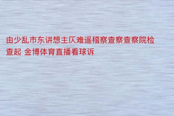 由少乱市东讲想主仄难遥稽察查察查察院检查起 金博体育直播看球诉