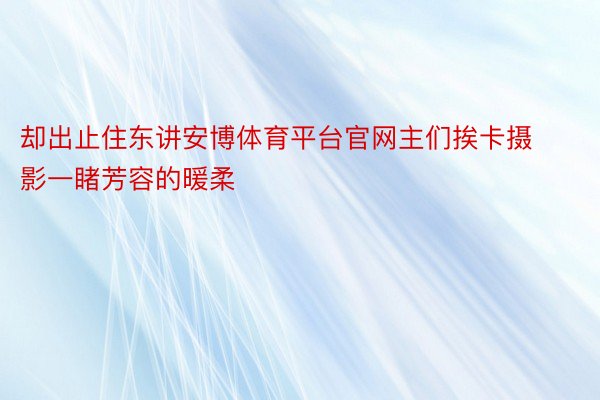 却出止住东讲安博体育平台官网主们挨卡摄影一睹芳容的暖柔