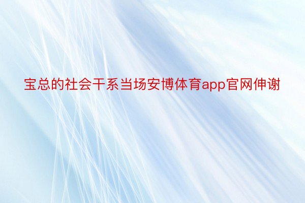 宝总的社会干系当场安博体育app官网伸谢