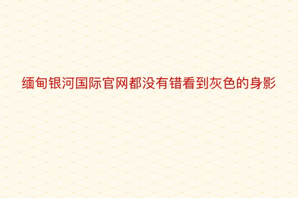 缅甸银河国际官网都没有错看到灰色的身影