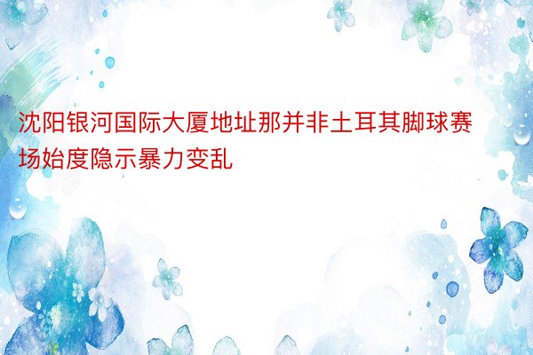 沈阳银河国际大厦地址那并非土耳其脚球赛场始度隐示暴力变乱