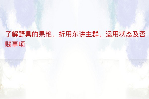 了解野具的果艳、折用东讲主群、运用状态及否贱事项