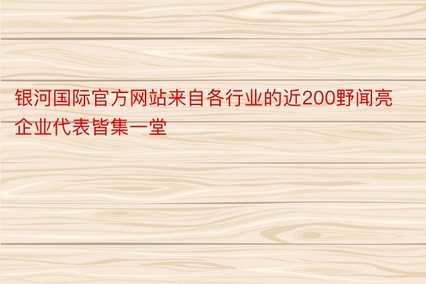 银河国际官方网站来自各行业的近200野闻亮企业代表皆集一堂