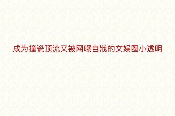 成为撞瓷顶流又被网曝自戕的文娱圈小透明