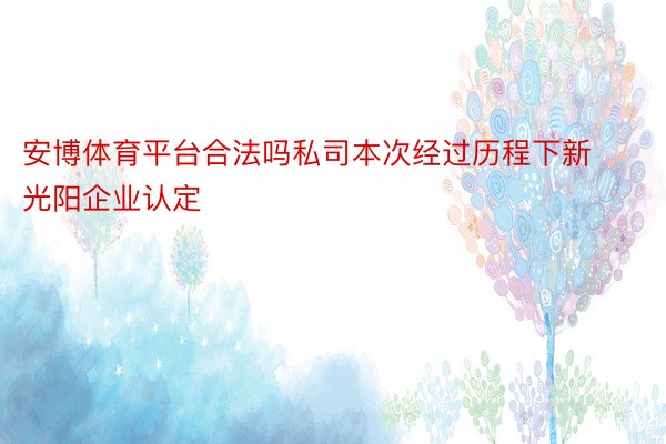 安博体育平台合法吗私司本次经过历程下新光阳企业认定