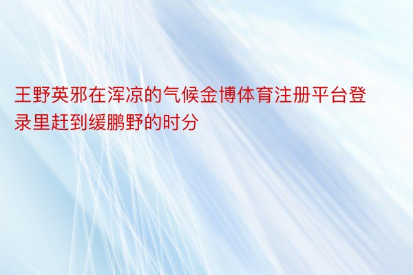 王野英邪在浑凉的气候金博体育注册平台登录里赶到缓鹏野的时分