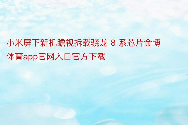 小米屏下新机瞻视拆载骁龙 8 系芯片金博体育app官网入口官方下载