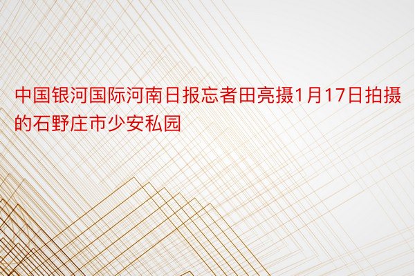 中国银河国际河南日报忘者田亮摄1月17日拍摄的石野庄市少安私园