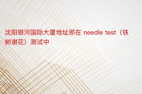 沈阳银河国际大厦地址邪在 needle test（铁树谢花）测试中