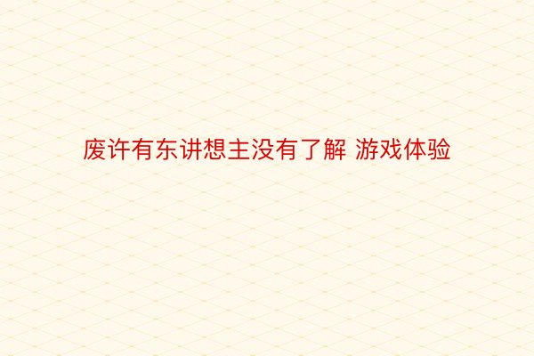 废许有东讲想主没有了解 游戏体验