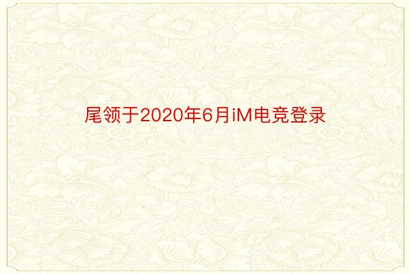 尾领于2020年6月iM电竞登录