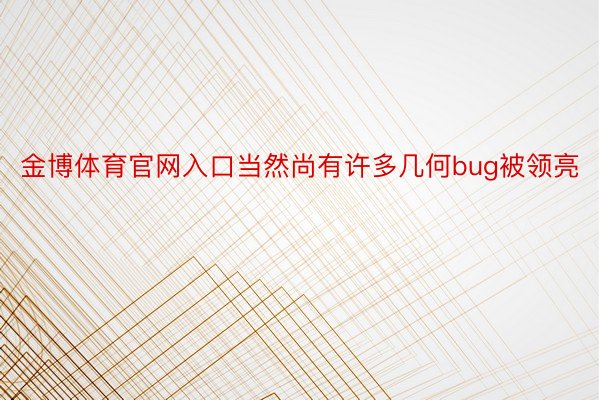 金博体育官网入口当然尚有许多几何bug被领亮