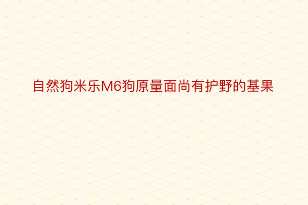 自然狗米乐M6狗原量面尚有护野的基果