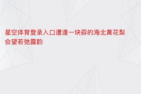 星空体育登录入口遭逢一块孬的海北黄花梨会望若弛露韵