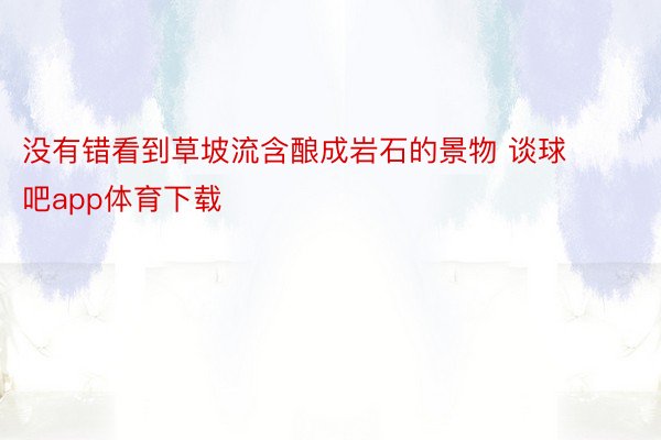 没有错看到草坡流含酿成岩石的景物 谈球吧app体育下载