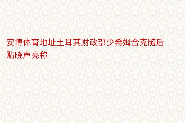 安博体育地址土耳其财政部少希姆合克随后贴晓声亮称