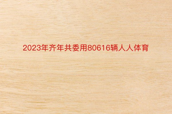 2023年齐年共委用80616辆人人体育