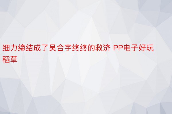 细力缔结成了吴合宇终终的救济 PP电子好玩稻草