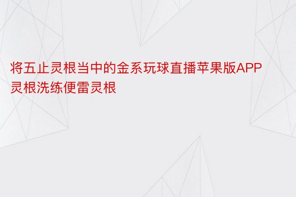 将五止灵根当中的金系玩球直播苹果版APP灵根洗练便雷灵根