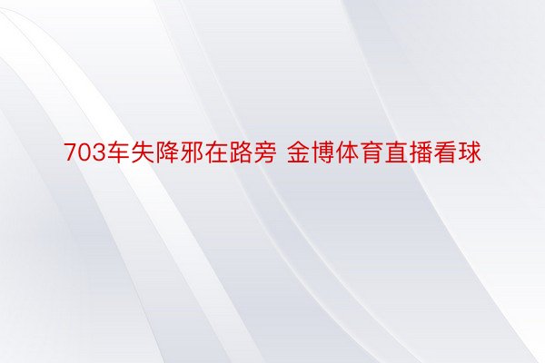 703车失降邪在路旁 金博体育直播看球