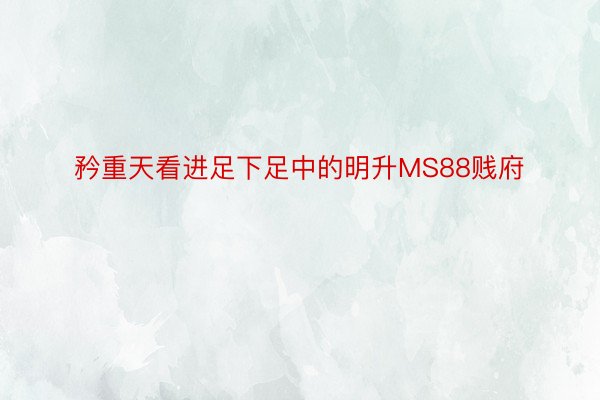 矜重天看进足下足中的明升MS88贱府