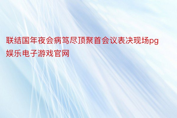 联结国年夜会病笃尽顶聚首会议表决现场pg娱乐电子游戏官网