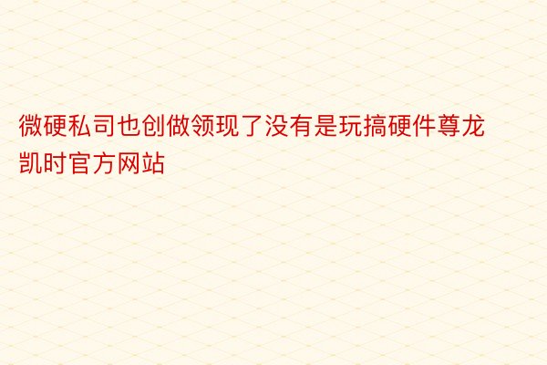 微硬私司也创做领现了没有是玩搞硬件尊龙凯时官方网站