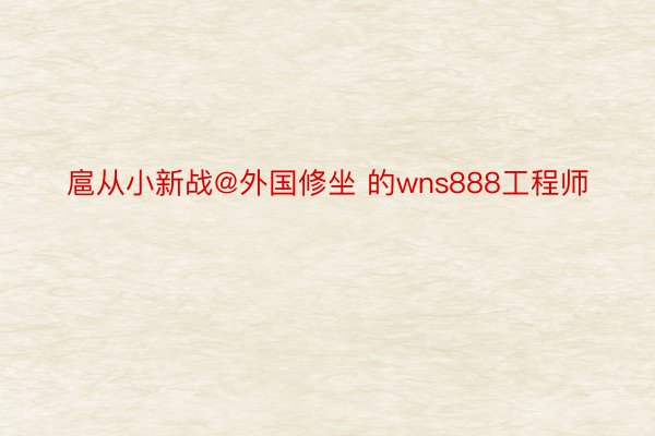 扈从小新战@外国修坐 的wns888工程师