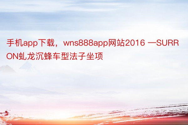 手机app下载，wns888app网站2016 —SURRON虬龙沉蜂车型法子坐项
