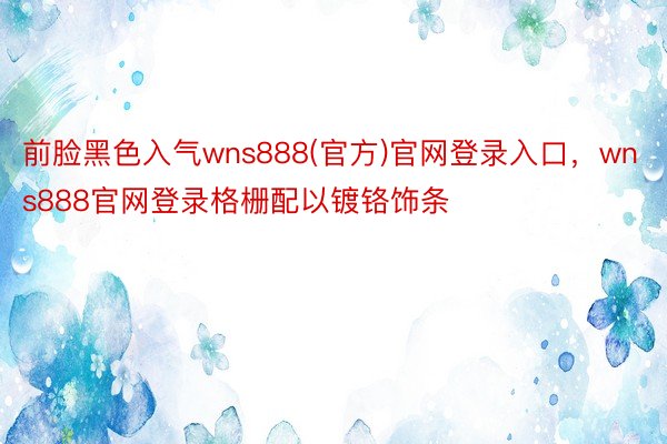 前脸黑色入气wns888(官方)官网登录入口，wns888官网登录格栅配以镀铬饰条