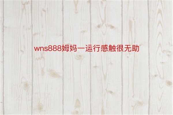 wns888姆妈一运行感触很无助