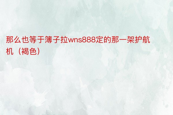 那么也等于簿子拉wns888定的那一架护航机（褐色）