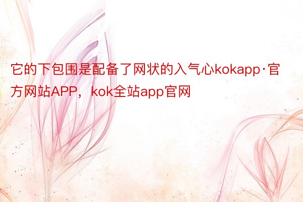 它的下包围是配备了网状的入气心kokapp·官方网站APP，kok全站app官网