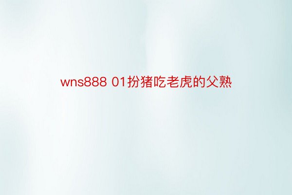 wns888 01扮猪吃老虎的父熟