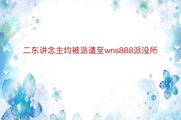 二东讲念主均被派遣至wns888派没所