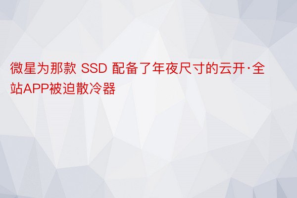 微星为那款 SSD 配备了年夜尺寸的云开·全站APP被迫散冷器