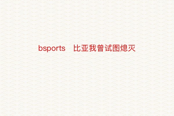 bsports　比亚我曾试图熄灭