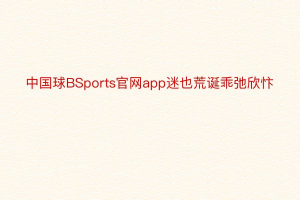 中国球BSports官网app迷也荒诞乖弛欣忭