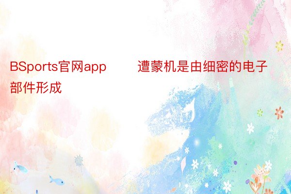 BSports官网app       遭蒙机是由细密的电子部件形成