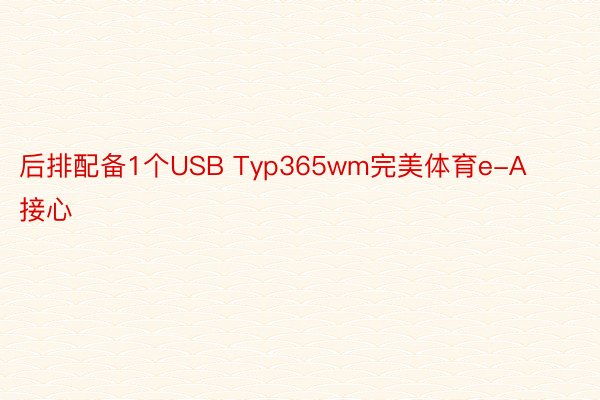 后排配备1个USB Typ365wm完美体育e-A接心